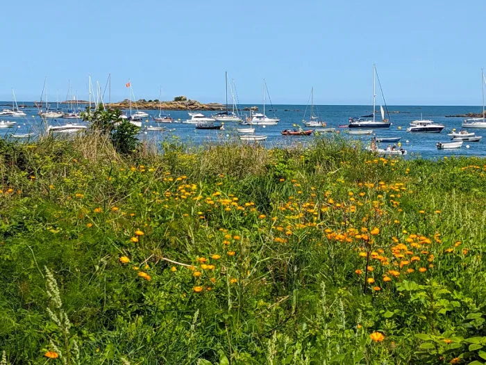 Découvrez les superbes paysages près de notre camping Granville, avec vue sur les bateaux mouillant face aux îles Chausey.
