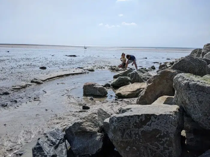 Pratiquez la pêche à pied près de notre camping Granville, sur les grandes étendues de sable d’Agon-Coutainville.