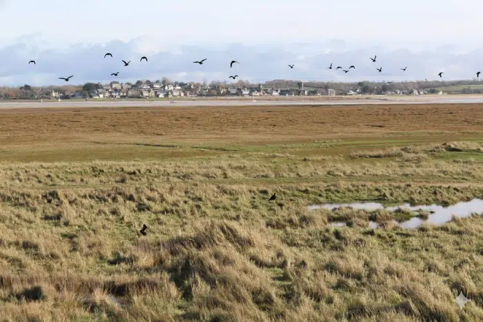 Paysage de marais dans la Manche avec un village en arrière-plan pendant une randonnée