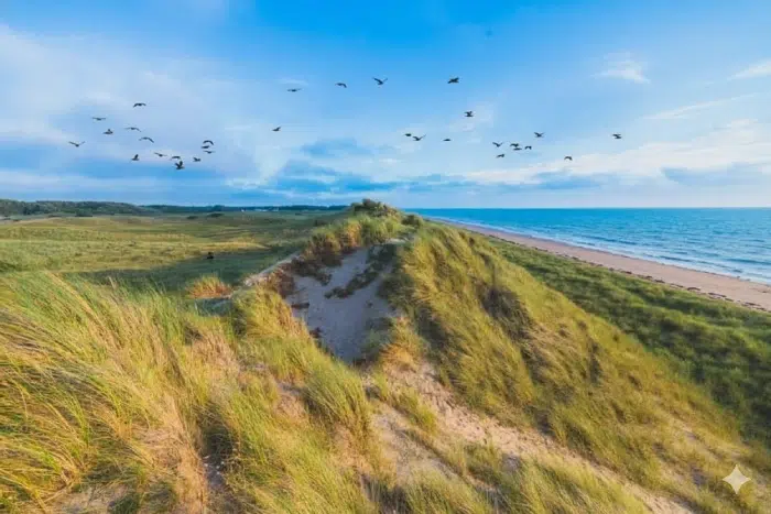 Dunes herbeuses et plage sauvage observées lors d’une randonnée dans la Manche