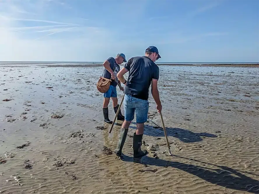 Deux personnes pratiquant la pêche à pied à marée basse près du camping à Agon-Coutainville dans la Manche.