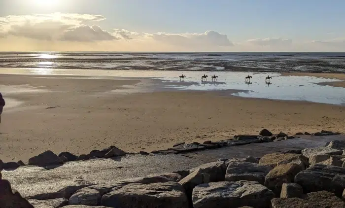 Chevaux galopant sur la plage d’Agon-Coutainville au coucher du soleil près du camping Granville bord de mer