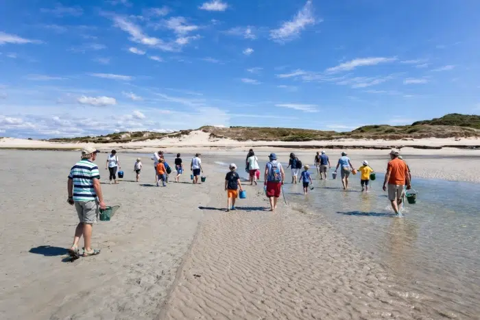 camping portbail (2)